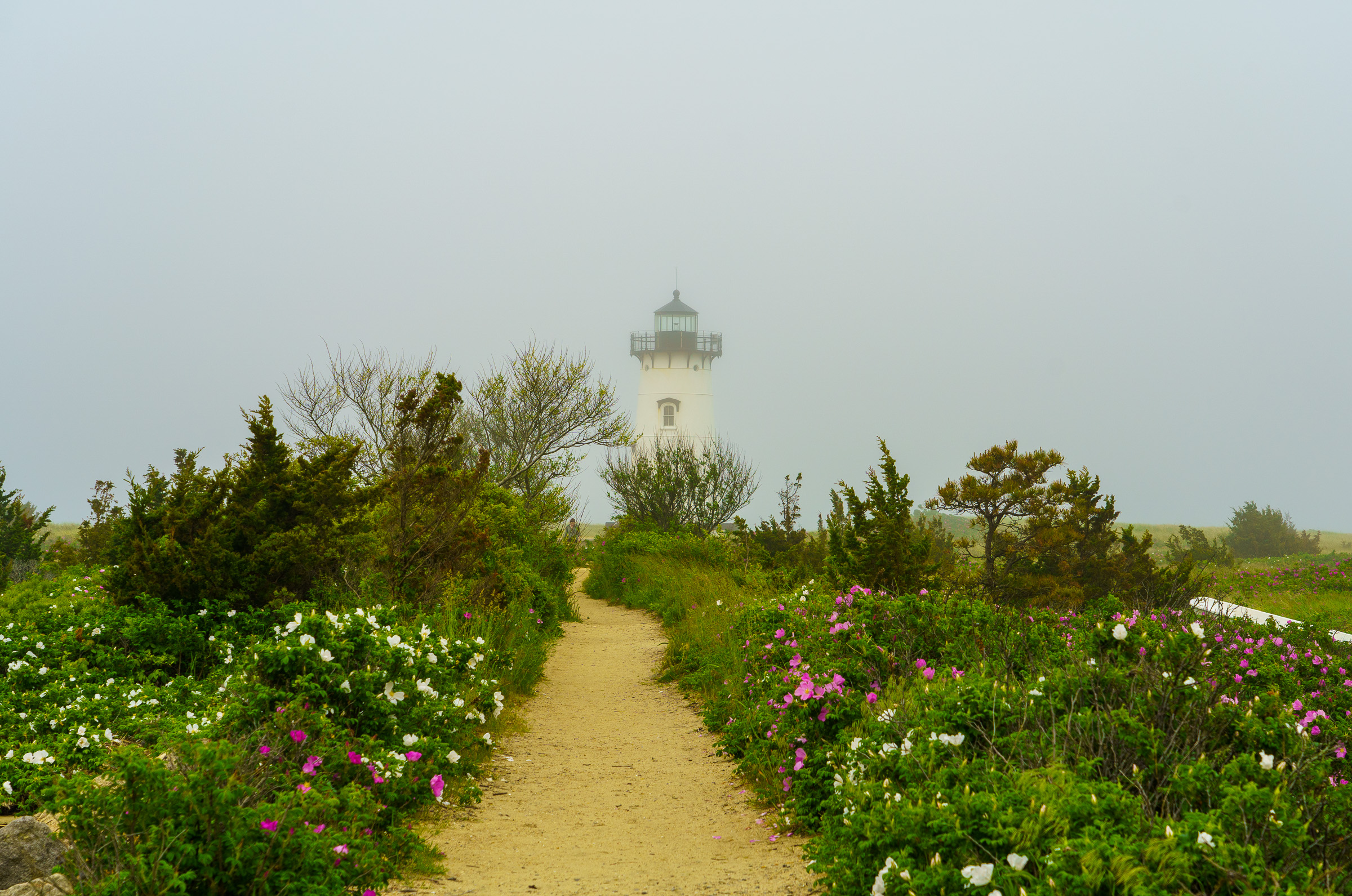 Edgartown Lighthouse on a Hazy Day